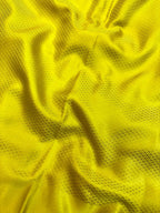 Saree Mashru Silk Jaal lotus border