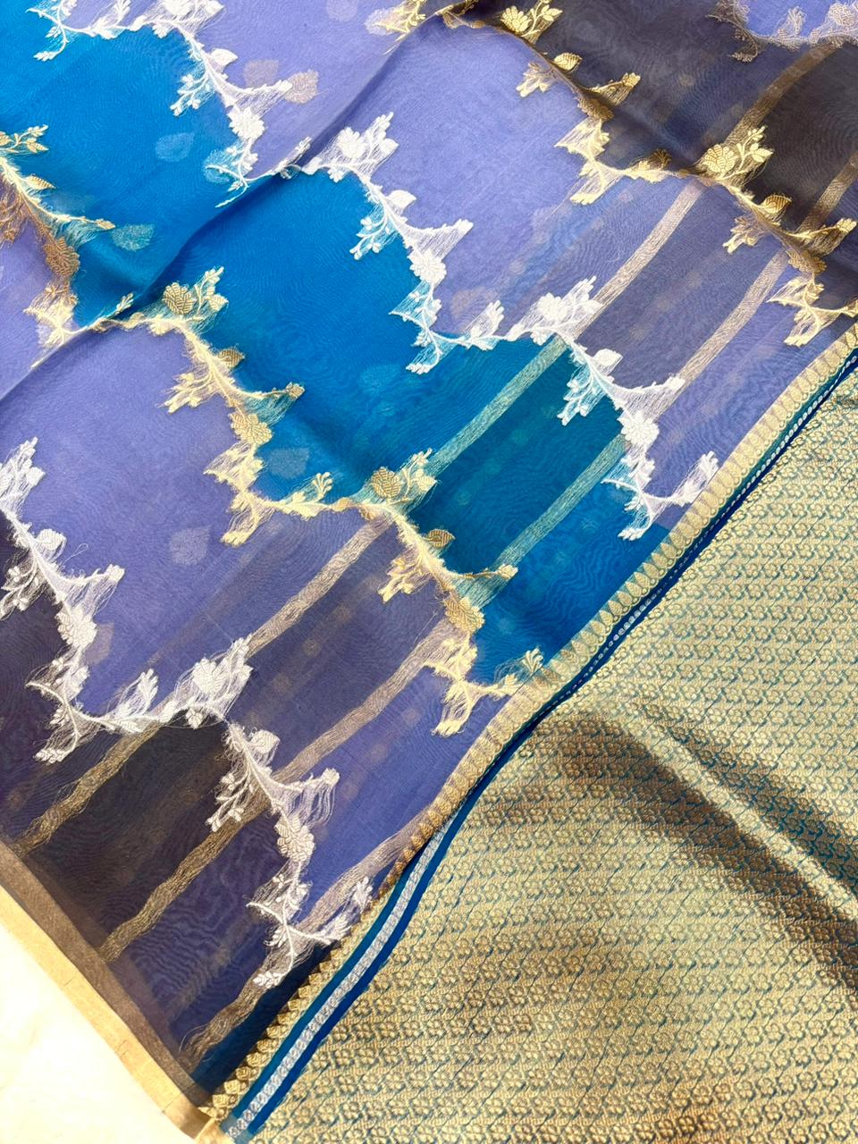 Saree Pure Banarasi Kora Silk borderless Jaal rangkat silver gold zari