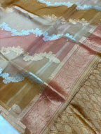 Saree Pure Banarasi Kora Silk borderless rangkat silver gold zari